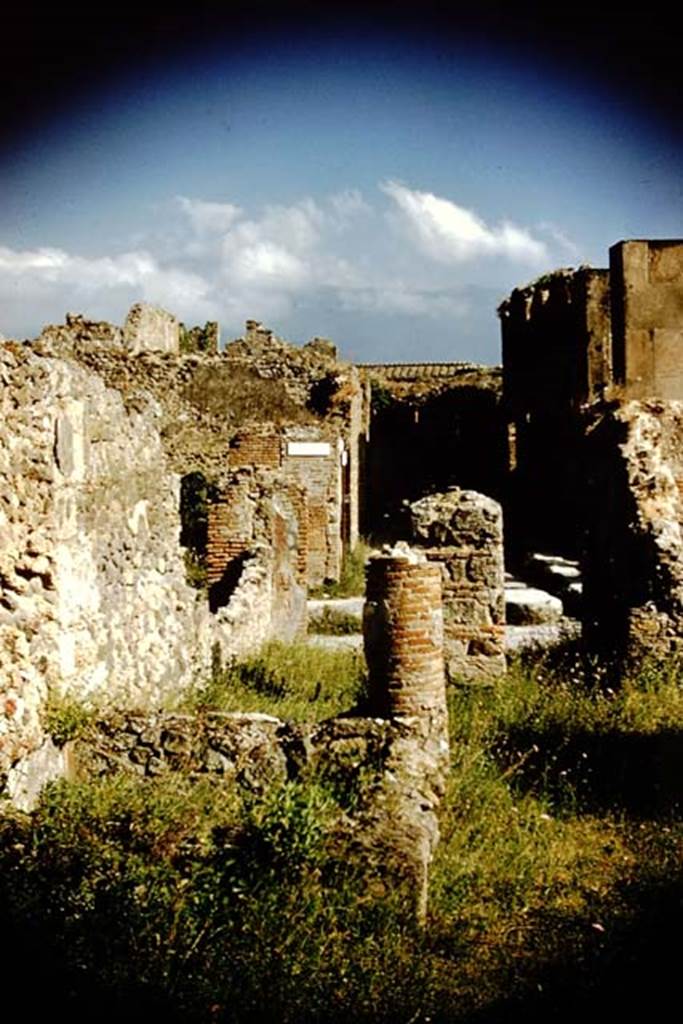 VI.14.2 Pompeii. 1959. Looking south towards entrance on Via della Fortuna, and across to Vicolo Storto.  Photo by Stanley A. Jashemski.
Source: The Wilhelmina and Stanley A. Jashemski archive in the University of Maryland Library, Special Collections (See collection page) and made available under the Creative Commons Attribution-Non Commercial License v.4. See Licence and use details. J59f0230 
