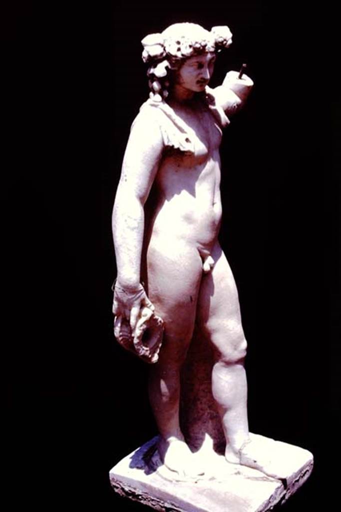 VI.15.1 Pompeii, 1978. Marble statue of Bacchus. Photo by Stanley A. Jashemski.   
Source: The Wilhelmina and Stanley A. Jashemski archive in the University of Maryland Library, Special Collections (See collection page) and made available under the Creative Commons Attribution-Non Commercial License v.4. See Licence and use details. J78f0588
Compare the left arm with that in the early 1900s photograph, above.
