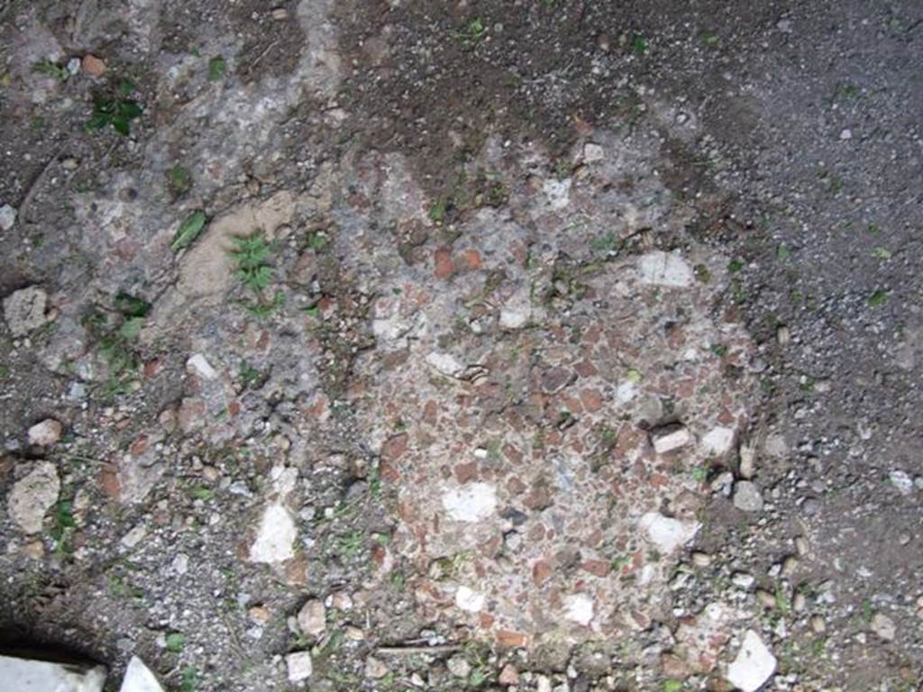 VI.15.6 Pompeii. March 2009. Room 10. Corridor, remains of floor.