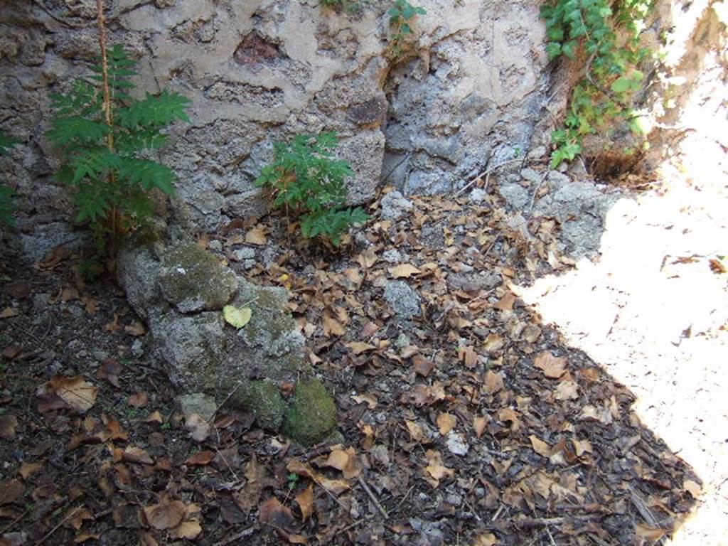 VI.15.20 Pompeii. September 2005. Structure against north wall of kitchen.