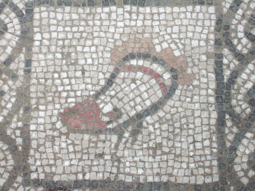 VI.16.7 Pompeii. May 2006. Room E, detail of coloured mosaic in doorway threshold in tablinum.