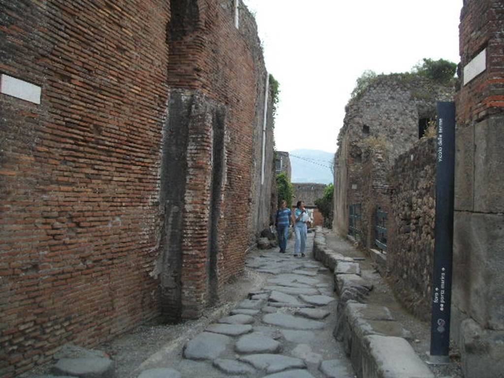 VII.5.8 Pompeii.(Side wall) May 2005.Vicolo delle Terme looking south.VII.6.       