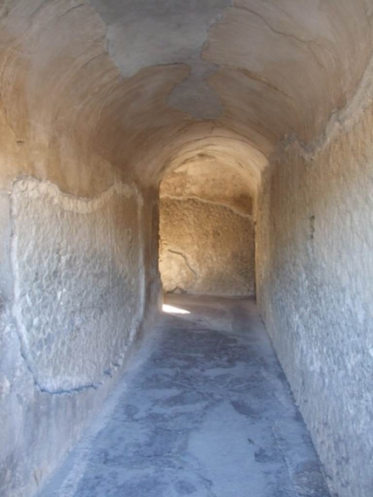 VII.5.24 Pompeii. December 2007. Entrance corridor (10), looking west.