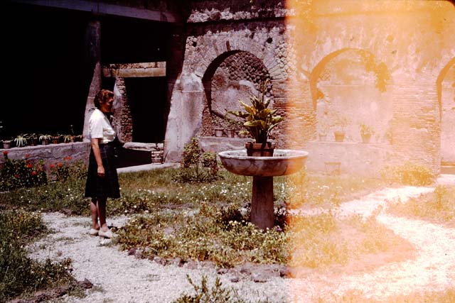 VII.5.24 Pompeii. 1964.  Wilhelmina in the courtyard area, looking towards the arched east portico.
Photo by Stanley A. Jashemski.
Source: The Wilhelmina and Stanley A. Jashemski archive in the University of Maryland Library, Special Collections (See collection page) and made available under the Creative Commons Attribution-Non Commercial License v.4. See Licence and use details.
J64f1549

