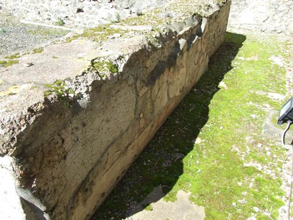 VII.9.7 and VII.9.8 Pompeii. Macellum. March 2009. Looking west at painted plaster on rear of counter at north end of large room in south-east corner.  
