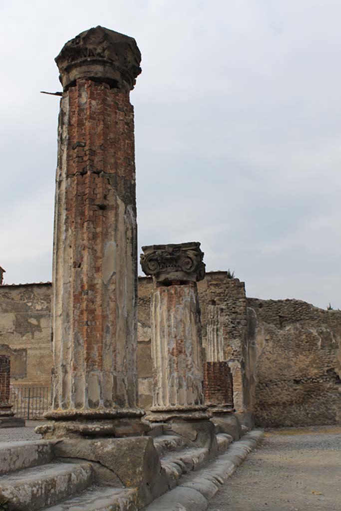 VIII.1.1 Pompeii. March 2014. Looking north along line of columns and steps. 
Foto Annette Haug, ERC Grant 681269 DÉCOR.
