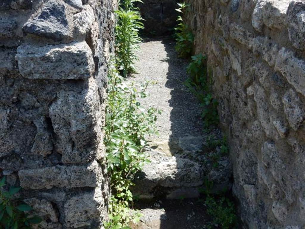 VIII.2.5 Pompeii. May 2018. Looking south towards steps on west side of rear room with remains of columns. Photo courtesy of Buzz Ferebee.
