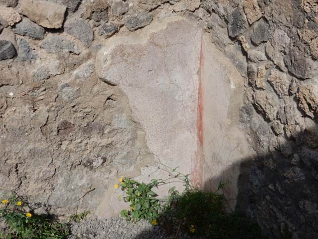 VIII.2.14 Pompeii. May 2017. Looking towards remaining plaster in north-west corner of a rear room.  Photo courtesy of Buzz Ferebee. 
