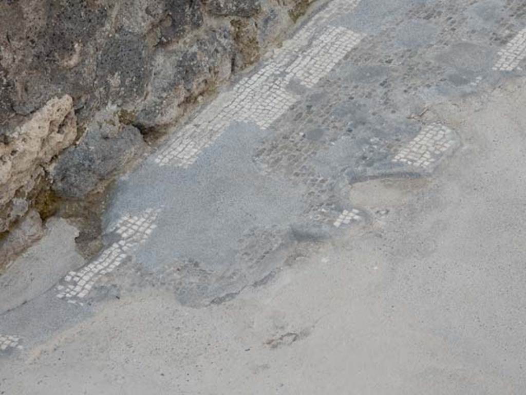 VIII.2.14 Pompeii. May 2017. Flooring near south wall. Photo courtesy of Buzz Ferebee.