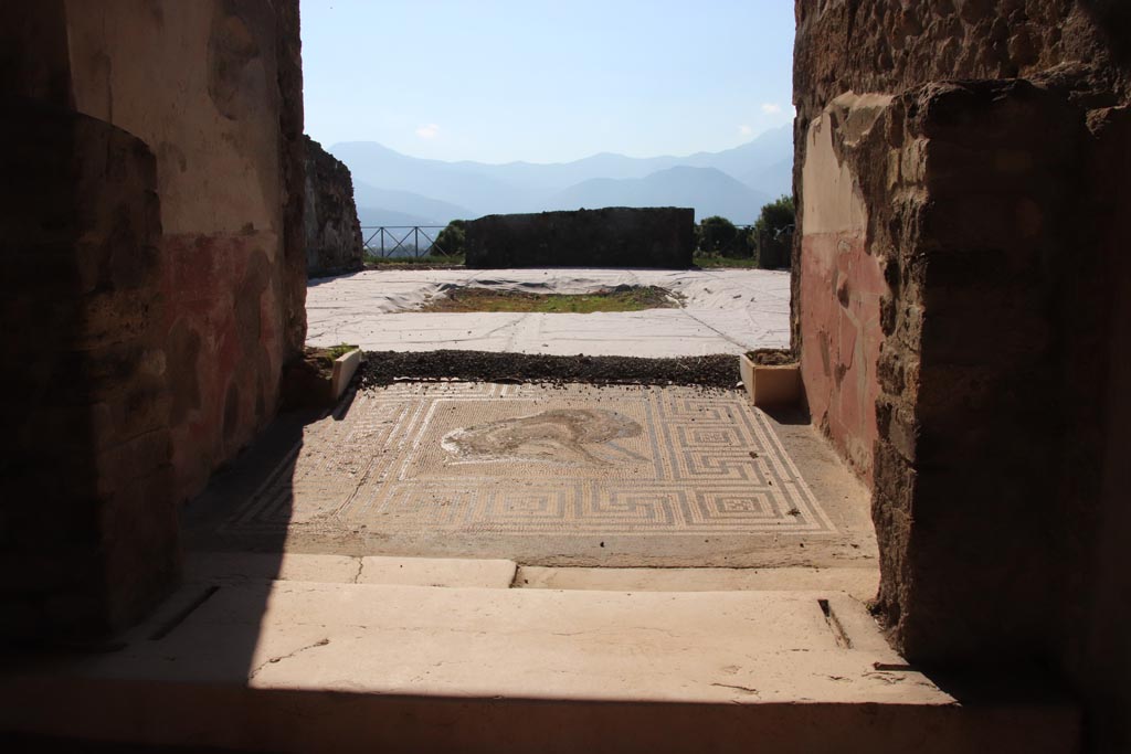 VIII.2.26 Pompeii. October 2022. Looking south across atrium, from vestibule with mosaic of boar. Photo courtesy of Klaus Heese. 