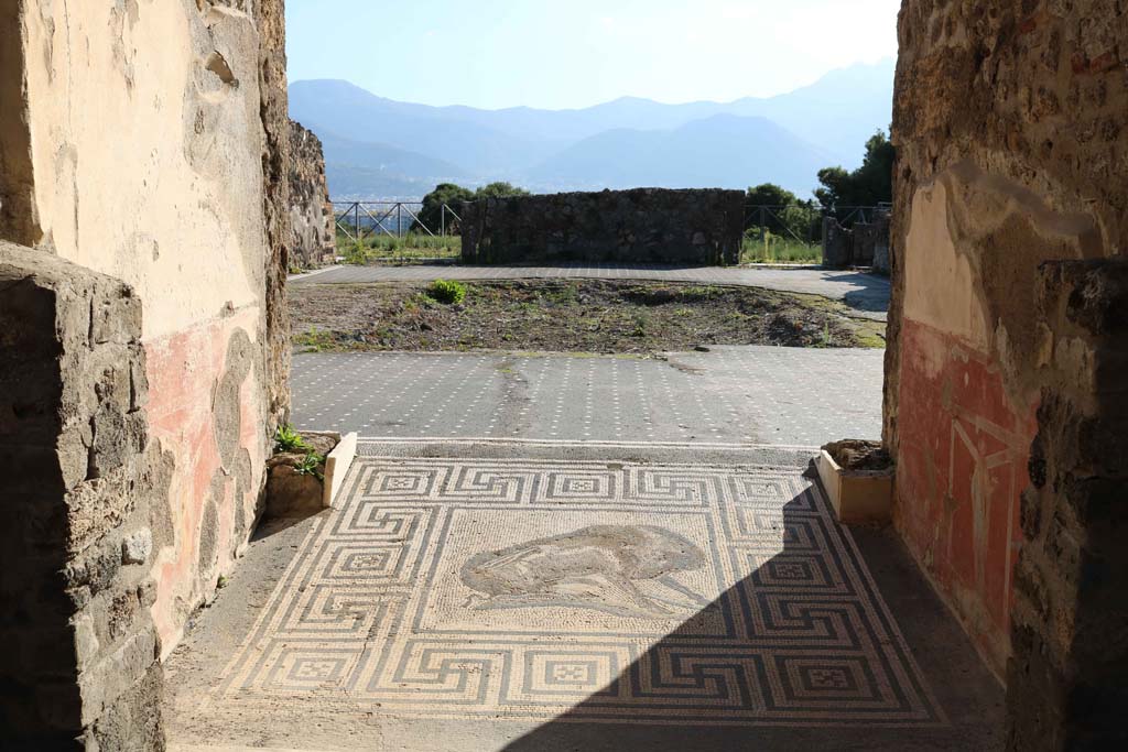 VIII.2.26 Pompeii. December 2018. Looking south towards boar mosaic, and into atrium. Photo courtesy of Aude Durand.