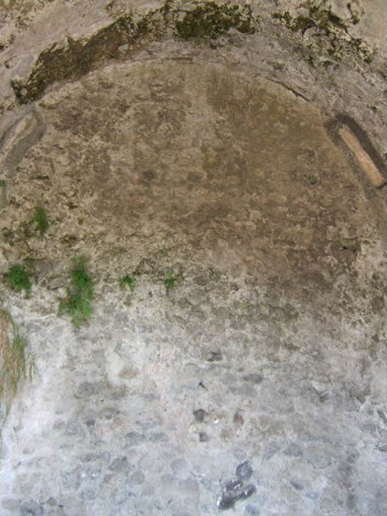 VIII.2.26 Pompeii. September 2005. Room 3, vaulted north wall of exedra. Only a small part of the stucco cornice remains, on the right.  The other walls of this room were painted with a black zoccolo with a taut garland. A raven was seen on this garland on the east wall. On the west wall, a bird could be seen on the garland.  The central panel of the middle zone was also black, and the side panels were red and crossed by a candelabra design. The plaster on the east wall fell totally in 1978. The floor of this room was of cocciopesto mixed with lava and showed a beautiful well-executed design. The centre of which was an enormous eight pointed star or rosette, formed by diamond shapes. In the north-east corner of room 3 was a doorway to room 4, a cubiculum leading from the exedra. The flooring of the small room 4 was made from lava with flakes of limestone. On the south wall the zoccolo could still be seen, it was painted black, and subdivided in panels and compartments. Only on the north side of the doorway on the west wall were any remains of the decoration of the middle zone, it was red and on the upper zone, it was painted white with architectural motifs.

