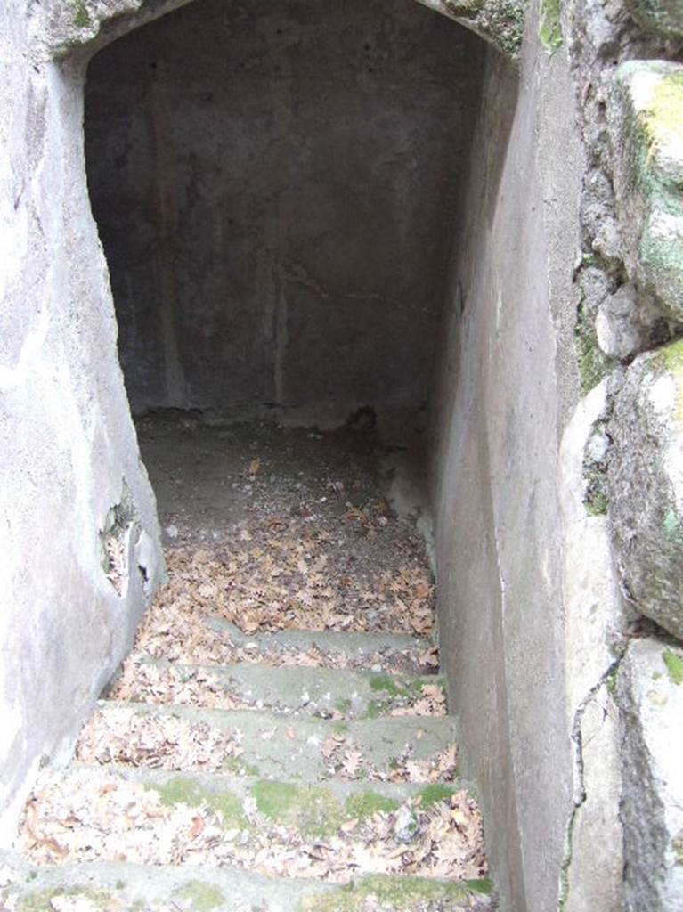 VIII.2.39 Pompeii.  May 2006. Stairs to first lower floor.