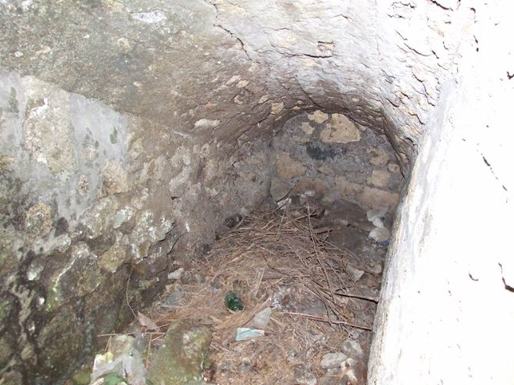 VIII.3.4 Pompeii.  March 2009. Room 15.  Cellars below the Kitchen.