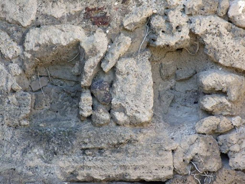 VIII.3.4 Pompeii.  March 2009.  Room 18.  Rear garden area. Two small niches in the ancient West wall.