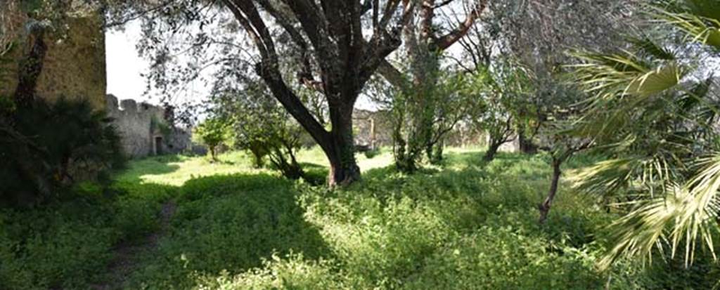 VIII.3.14 Pompeii. April 2018. Looking north-east across garden area. Photo courtesy of Ian Lycett-King. 
Use is subject to Creative Commons Attribution-NonCommercial License v.4 International
