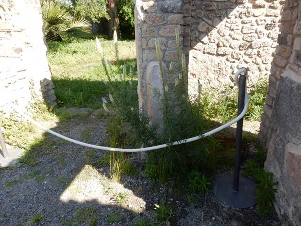 VIII.3.14 Pompeii. May 2016. Looking north from east side of atrium towards doorway to garden area, on left. On the right is the doorway into the oecus fenestratum. Photo courtesy of Buzz Ferebee.

