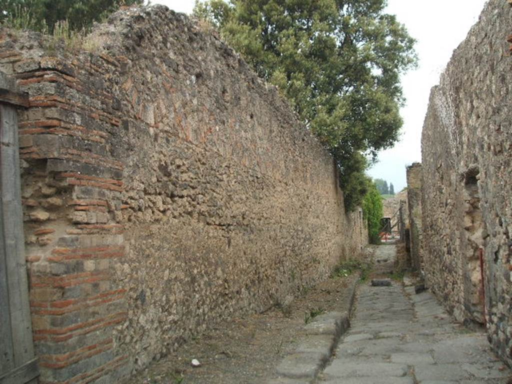 VIII.3.14 Pompeii. Vicolo dei 12 Dei, looking north. VIII.6.