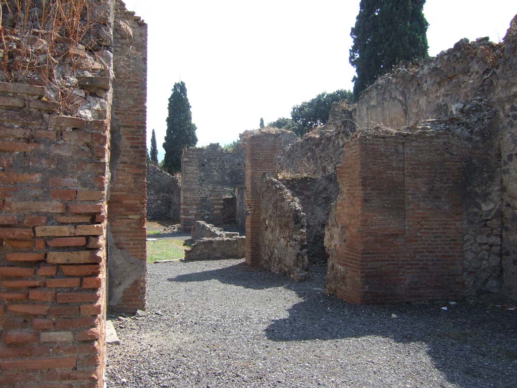 VIII.4.12 Pompeii. September 2005. Looking south through tablinum, towards peristyle area. 