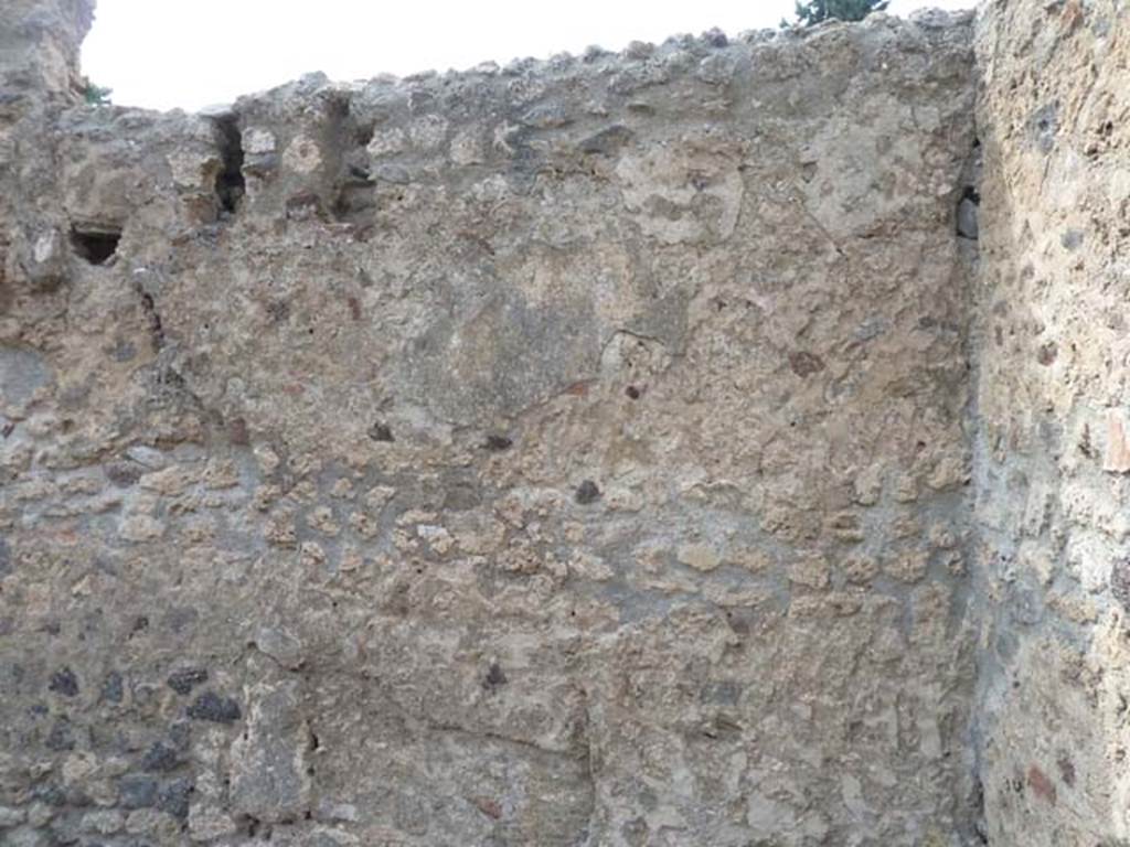 VIII.4.36 Pompeii, September 2015. West wall of rear room.