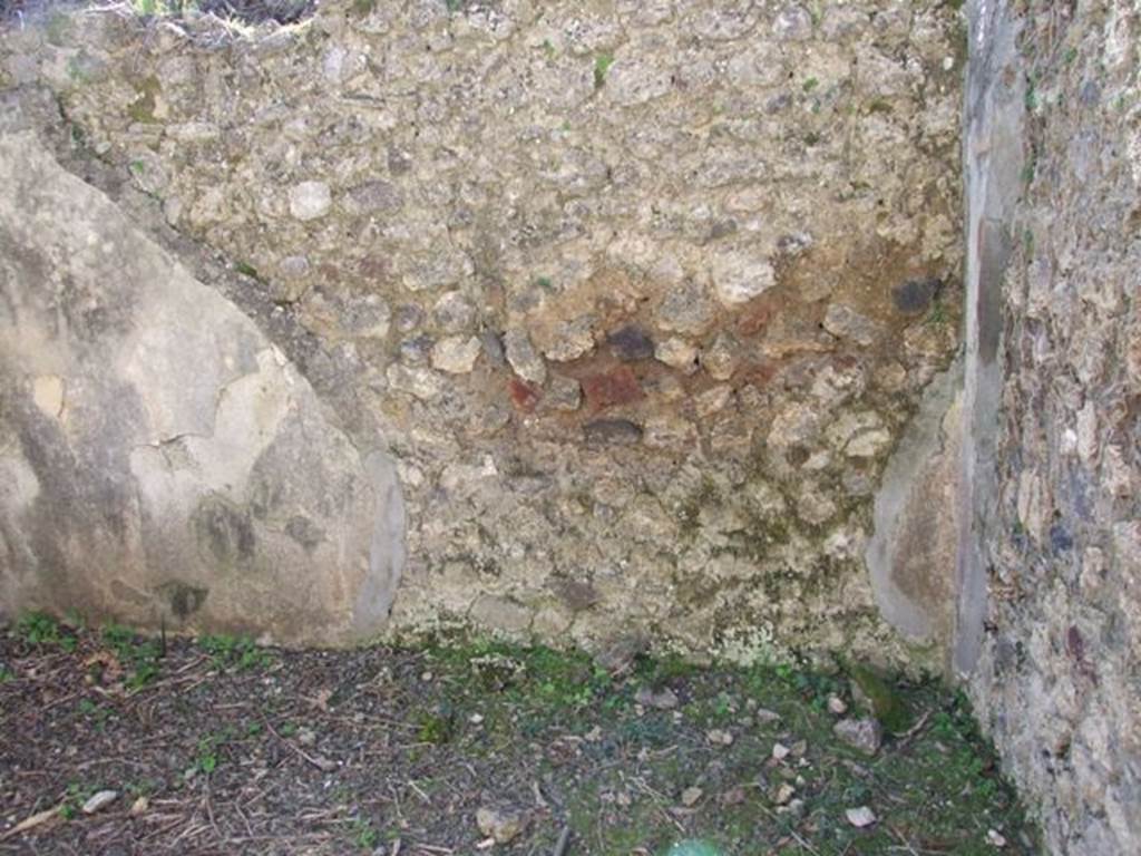 VIII.5.2 Pompeii.  March 2009.  Room 12.  South wall.