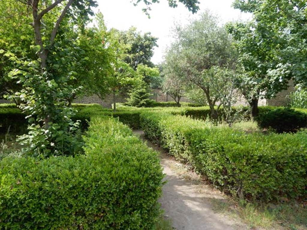 VIII.5.16 Pompeii. May 2017. Looking south across garden area. Photo courtesy of Buzz Ferebee.