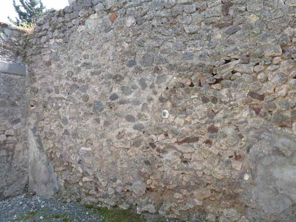 VIII.5.24 Pompeii. May 2010. Room 11, south wall.