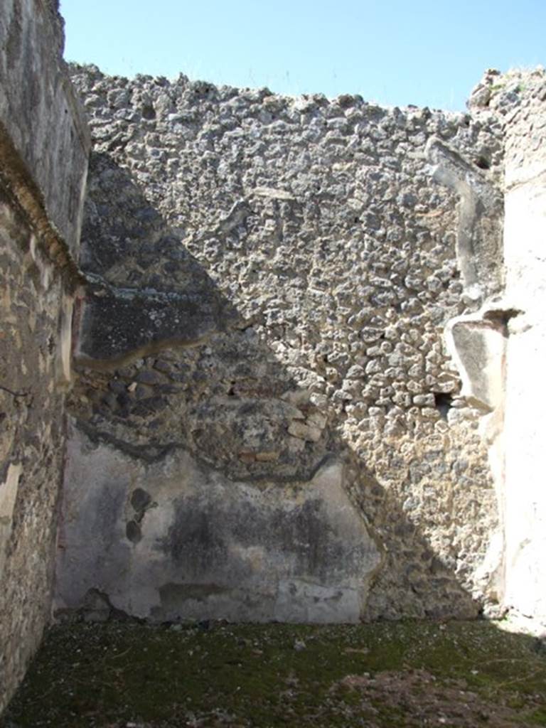 VIII.5.28 Pompeii. March 2009. Room 7, west wall of oecus.