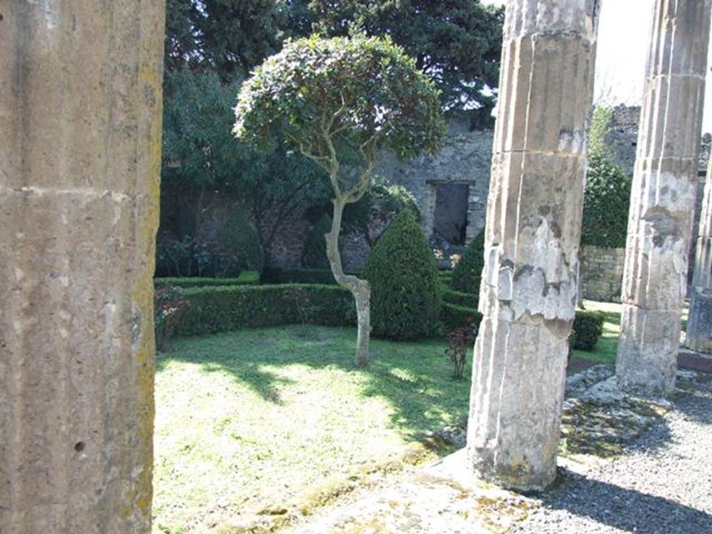 VIII.5.28 Pompeii.  March 2009.  Room 10. Looking south west across Peristyle garden