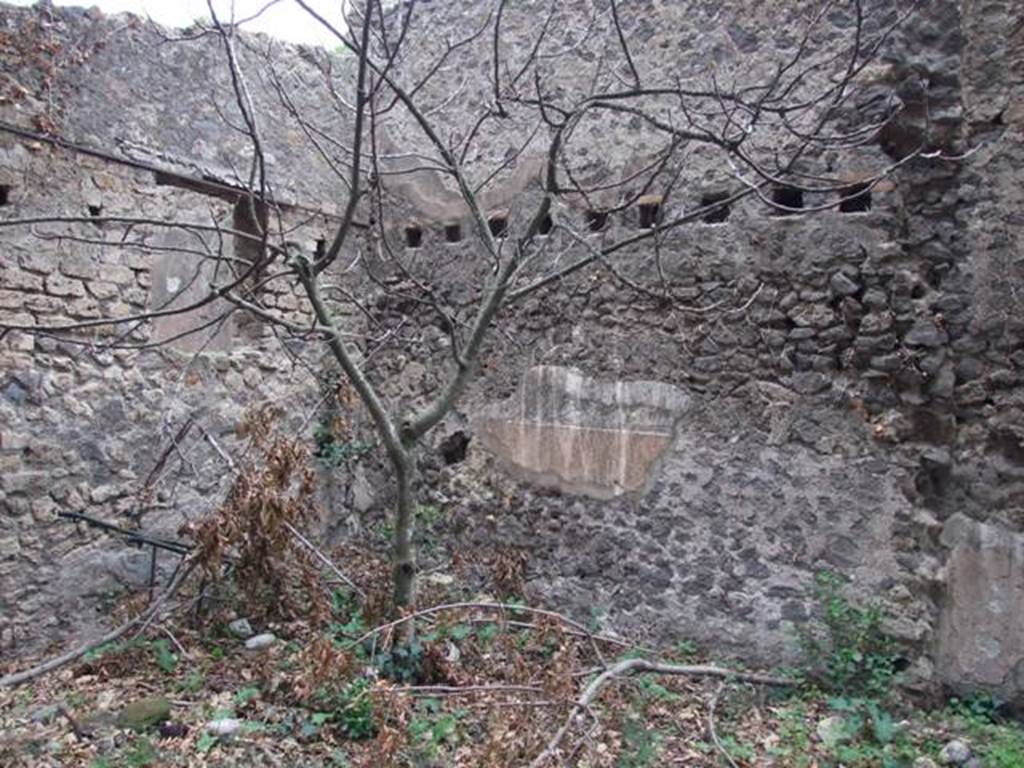 VIII.6.6 Pompeii.  Horticultural plot.  December 2007.  Remains of room on north wall.