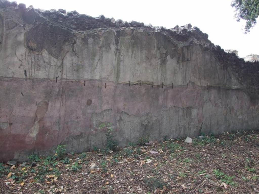 VIII.6.6 Pompeii. December 2007. South wall.
According to Jashemski -
The animal painting on the south wall was a survival from an earlier house, as was the simple aedicula shrine in the south-west corner.
See Jashemski, W. F., 1993. The Gardens of Pompeii, Volume II: Appendices. New York: Caratzas. (p.219).
According to NdS 
On the south wall, but mostly fallen, there were the remains of a large painting, depicting one of the usual hunting scenes. There you could see, almost life-size, a lion with an open mouth, fleeing to the left was a deer that was brought down by a wild boar, of which only the legs and snout remained.
(Sul muro meridionale, in gran parte caduto, vi era lavanzo di una grandiosa pittura, ritraente una delle solite scene di caccia.
Vi si vede, quasi a grandezza naturale, un leone dalla bocca aperta, fuggente a sinistra, era un cervo che stramazza addentato da un cinghiale, del quale rimangono solo le zampe e il muso.)
See Notizie degli Scavi, August 1884, p. 280.
