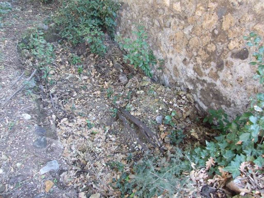 VIII.6.6 Pompeii.  March 2009.  Depression in the soil, against the south wall. Looking east.