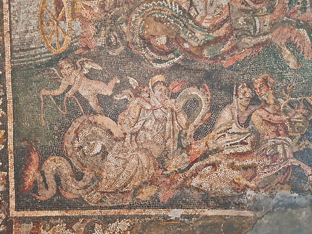 IX.2.27 Pompeii. Detail from lower register of mosaic of Neptune and Amphitrite, this was found in a triclinium on east side of peristyle.  
Now in Naples Archaeological Museum, inventory number 10007.
Photo courtesy of Giuseppe Ciaramella. September 2024.
