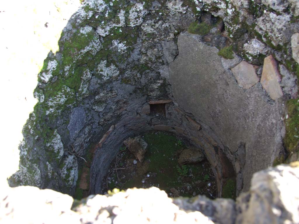 IX.3.2 Pompeii. March 2009. Inside masonry boiler against south wall of former atrium.