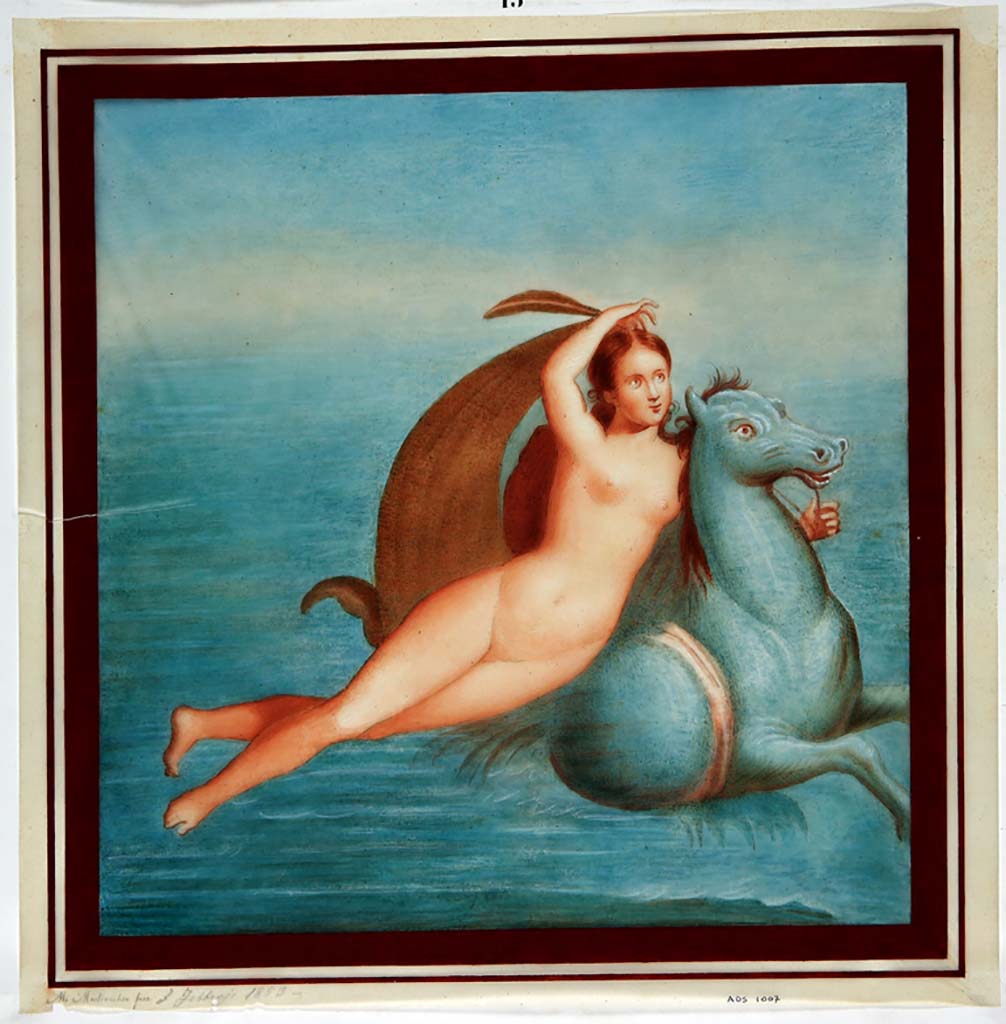 IX.3.5 Pompeii. Painting by Michele Mastracchio, 7th February 1853, of painting of Nereid on seahorse seen on east wall of room 16.
Now in Naples Archaeological Museum. Inventory number ADS1007.
Photo © ICCD. http://www.catalogo.beniculturali.it
Utilizzabili alle condizioni della licenza Attribuzione - Non commerciale - Condividi allo stesso modo 2.5 Italia (CC BY-NC-SA 2.5 IT)
