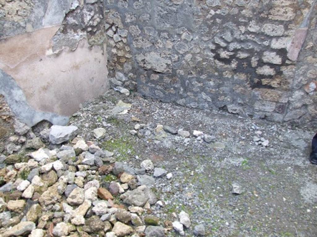 IX.3.15 Pompeii.  March 2009.  Room 10.  South west corner, looking west..