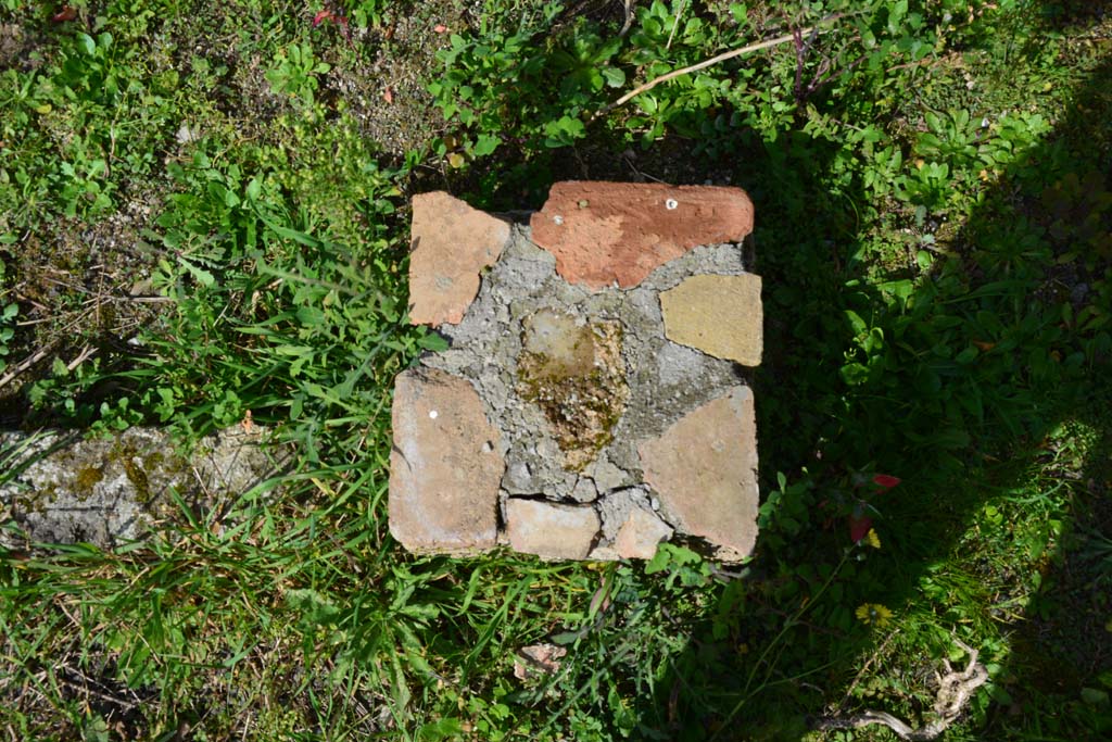 IX.5.2 Pompeii. March 2017. Peristyle p, masonry base on south side of peristyle.
Foto Christian Beck, ERC Grant 681269 DCOR.
