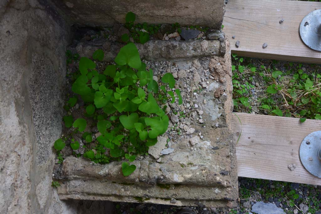 IX.5.2 Pompeii. March 2017. Room w, top of altar, viewed from above.
Foto Christian Beck, ERC Grant 681269 DCOR.


