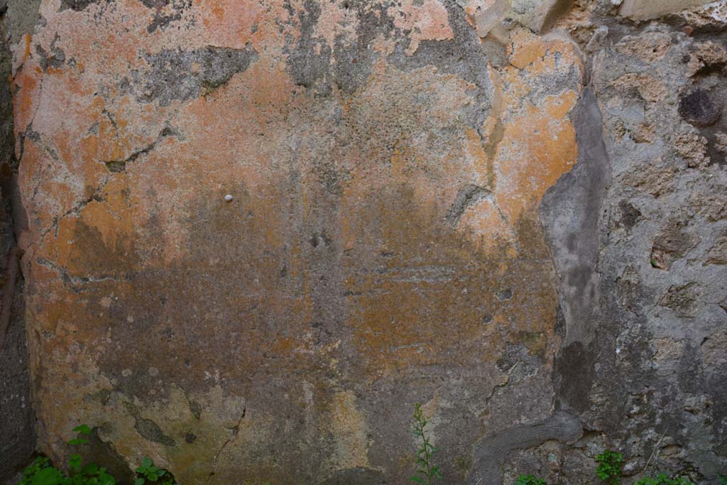 IX.5.2 Pompeii. March 2017. Room ‘g’, lower centre of south wall. 
Foto Christian Beck, ERC Grant 681269 DÉCOR.


