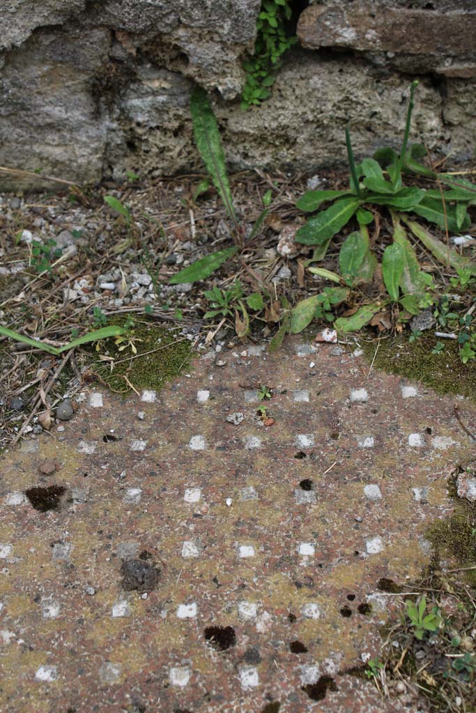 IX.5.2 Pompeii. May 2019. Room k, flooring.
Foto Christian Beck, ERC Grant 681269 DCOR.

