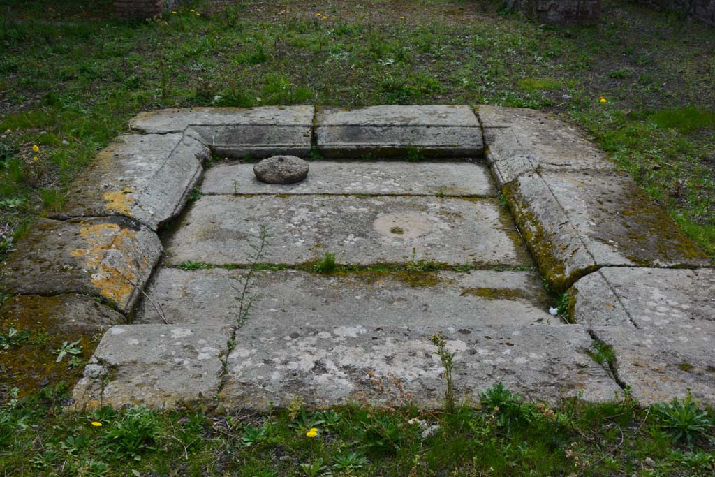 IX.5.2 Pompeii. March 2017. Looking south across impluvium in atrium ‘b’.
Foto Christian Beck, ERC Grant 681269 DÉCOR.

