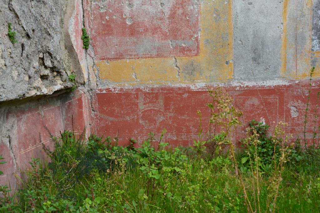 IX.5.18 Pompeii. March 2017. Room o, zoccolo on lower east wall in north-east corner.
Foto Christian Beck, ERC Grant 681269 DÉCOR.
