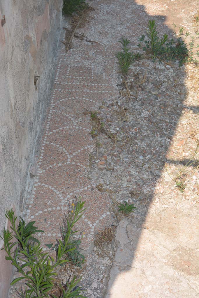 IX.6.5 Pompeii. July 2017. North side of entrance corridor with detail of decorative floor.
Foto Annette Haug, ERC Grant 681269 DÉCOR.

