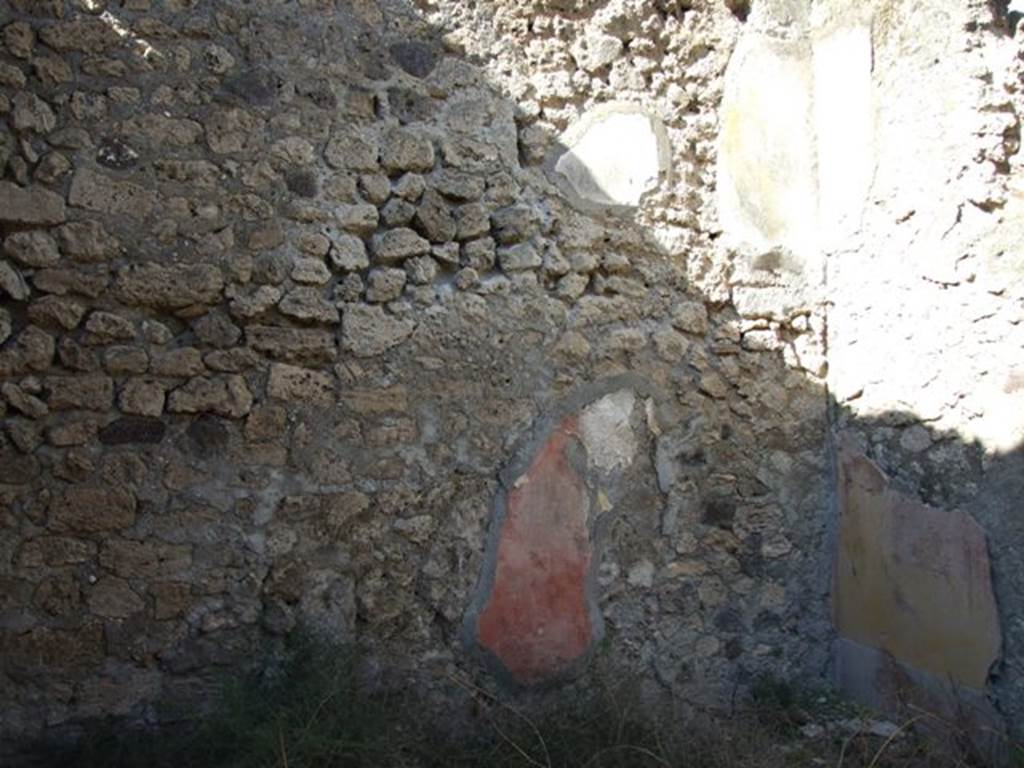 IX.9.g Pompeii.  March 2009.  Triclinium.  North wall.