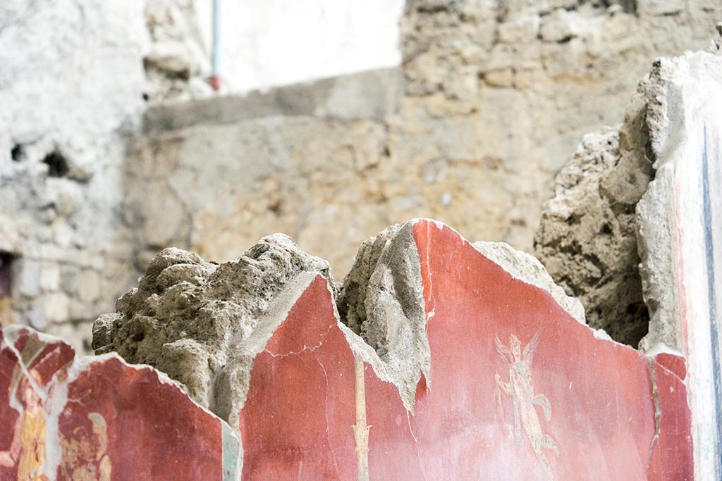 IX.12.6 Pompeii. July 2024. Room “m”, east wall, detail of thickness of stucco. Photo courtesy of Johannes Eber.