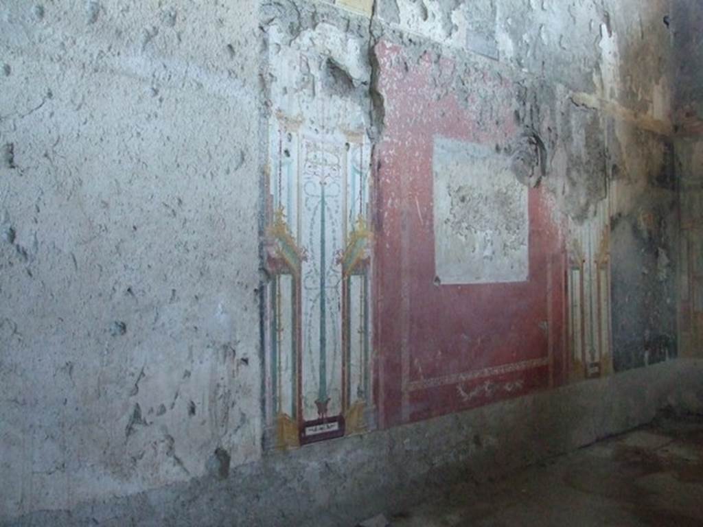 IX.12.9 Pompeii. March 2009. Room “u”, north wall. The unfinished north wall in the oecus or large sitting room. 
The central panel of the wall contains only a traced outline of a scene that has not yet been painted. 
Paint pots and the remains of brushes were also found abandoned here. This gave the house its name.
