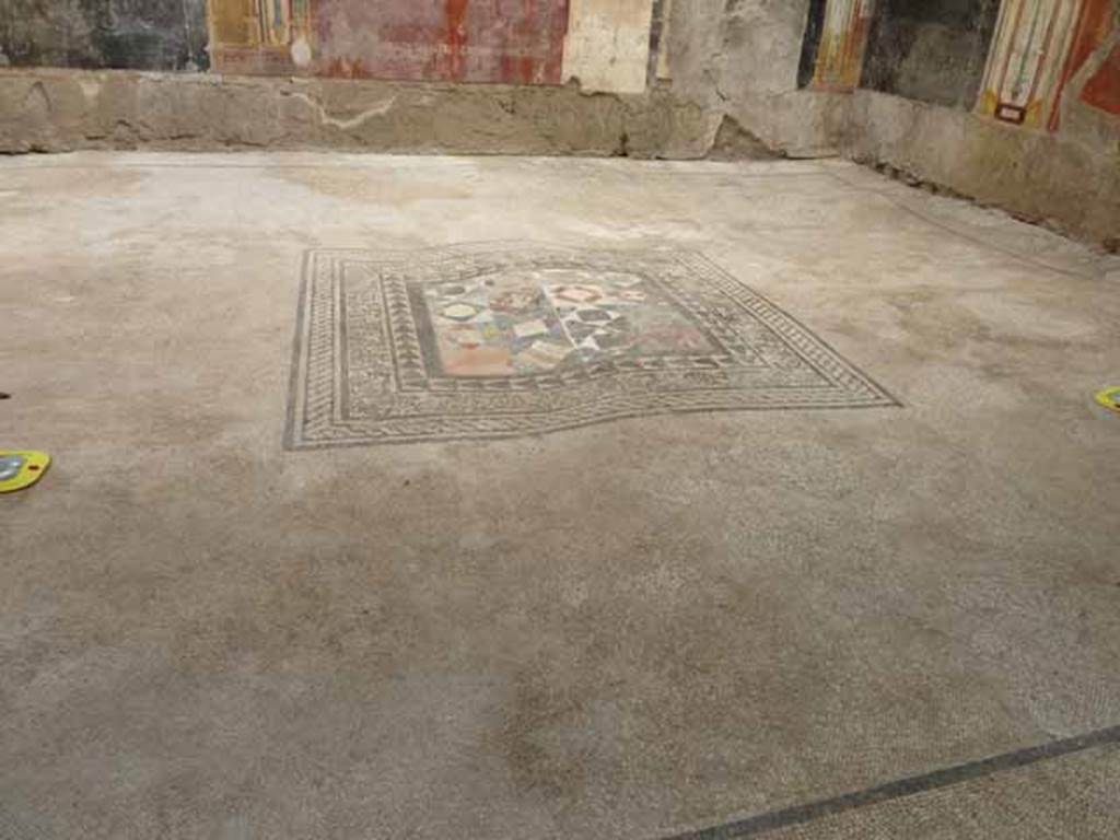 IX.12.9 Pompeii. May 2010. Room “u”, distorted mosaic floor.

