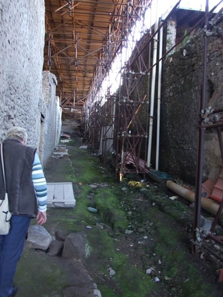 IX.12 Pompeii, on left. March 2009. Looking north along Vicolo di Giulio Polibio.  IX.13, on right.