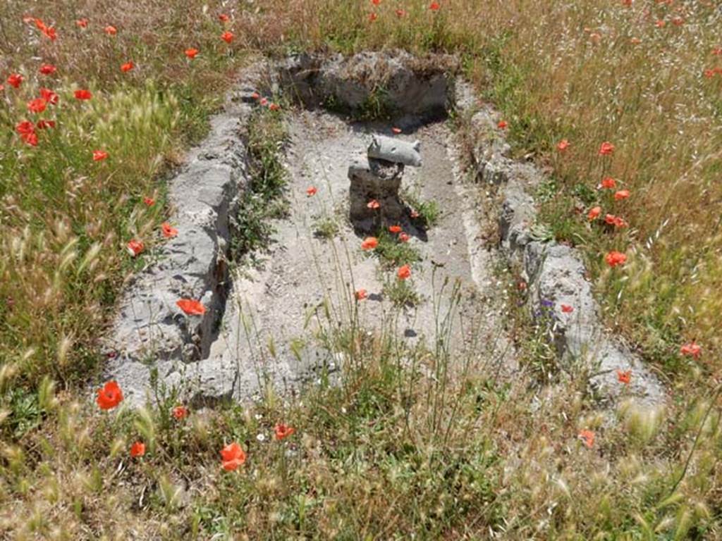 IX.14.4 Pompeii. May 2017. Pool basin with fountain base. Photo courtesy of Buzz Ferebee.