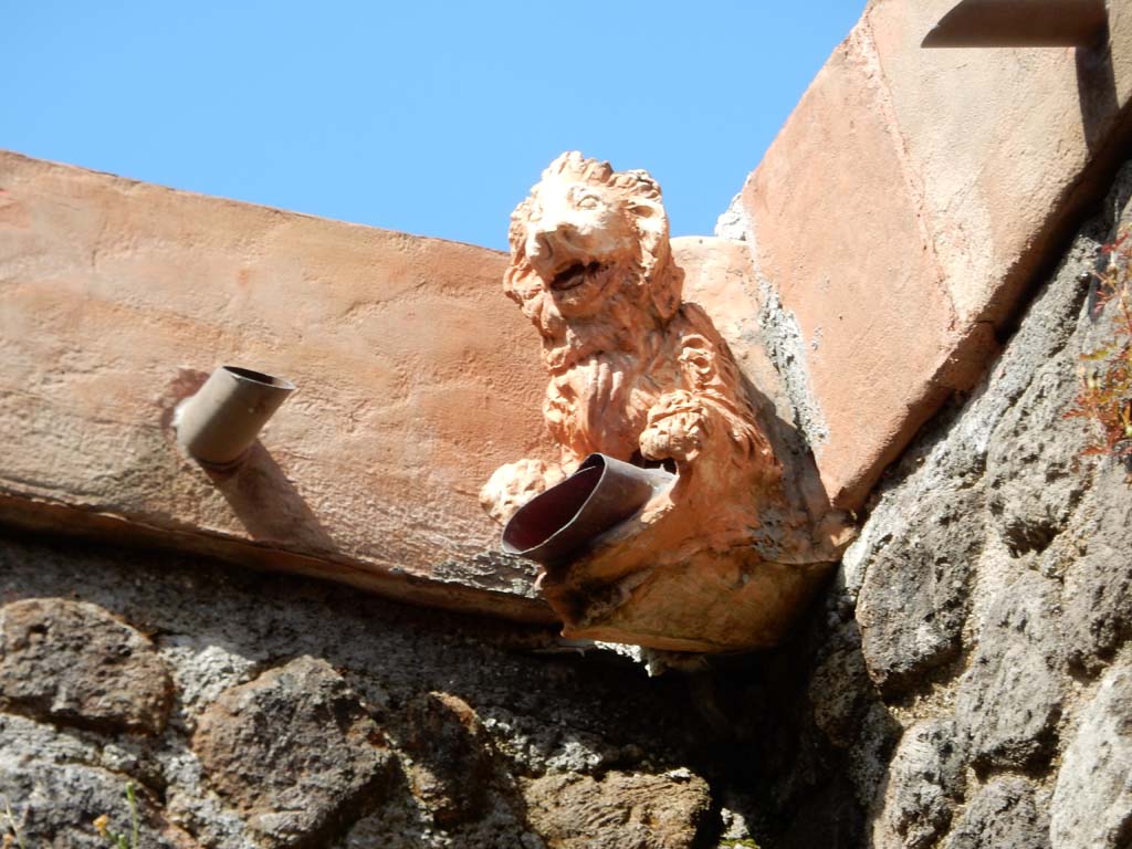 Villa San Marco, Stabiae, June 2019. Room 44, detail of water- spout on compluvium. Photo courtesy of Buzz Ferebee.